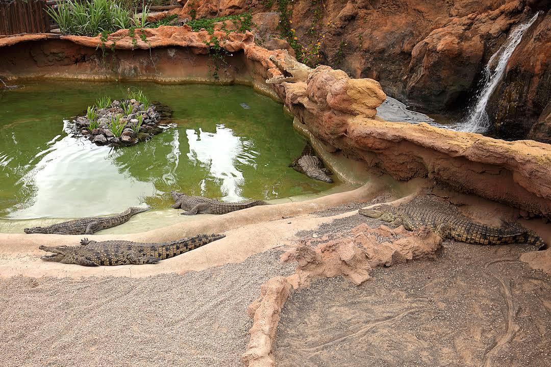 Rancho Texas Parks zoologiske have